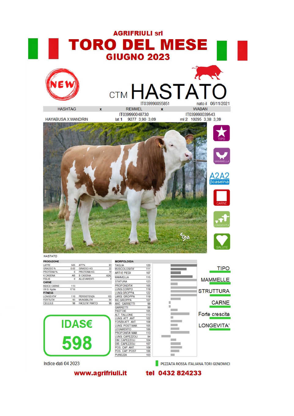 Toro del mese HASTATO giugno 2023