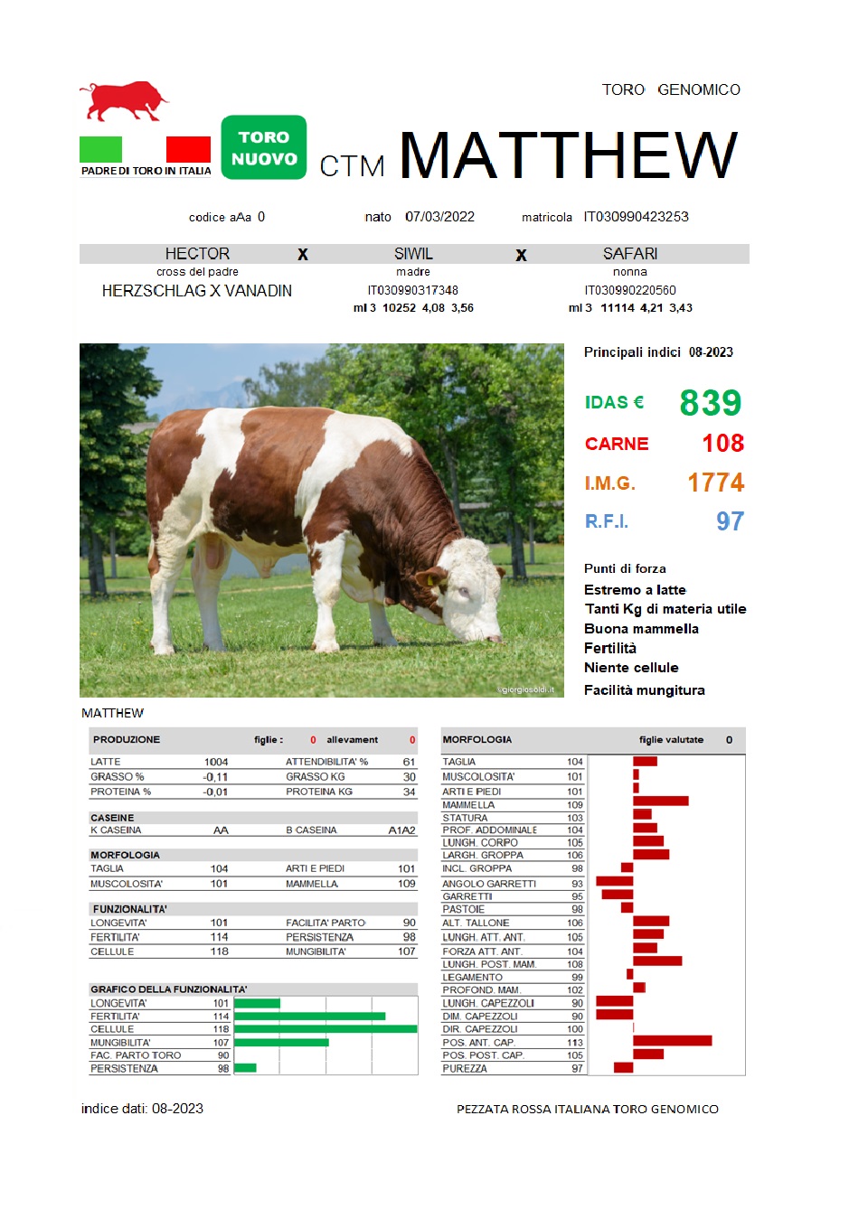 Toro del mese MATTHIEW settembre 2023