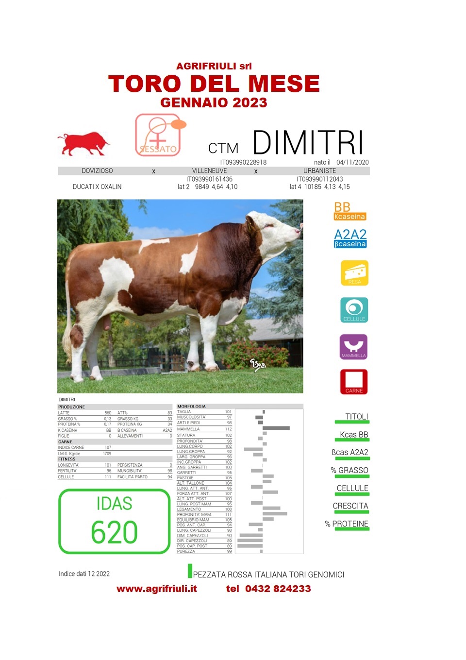 Toro del mese DIMITRI gennaio 2023