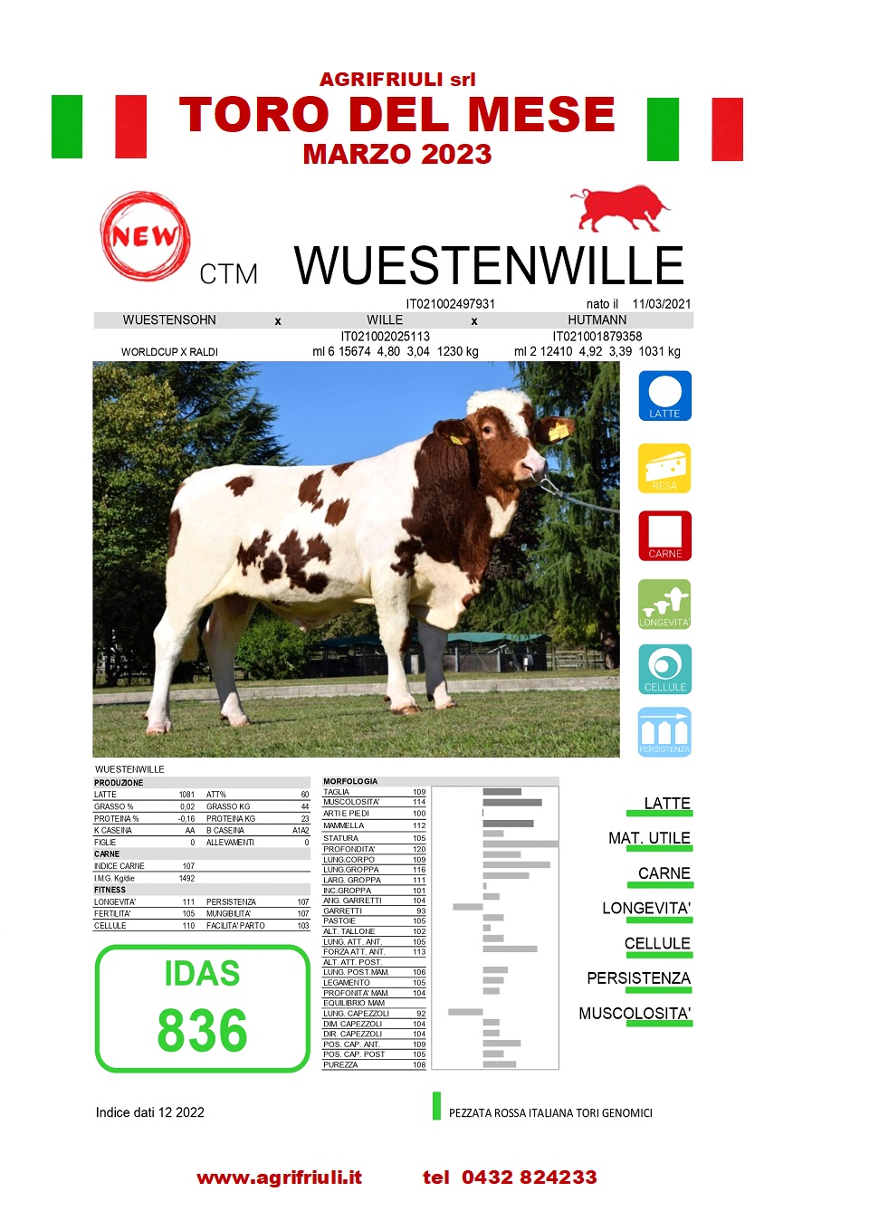 Toro del mese WUESTENWILLE  marzo 2023